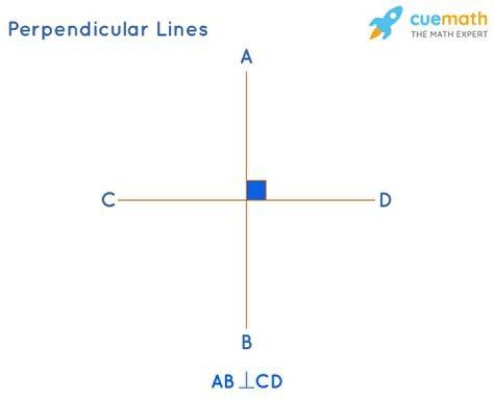 Where do perpendicular lines intersect?