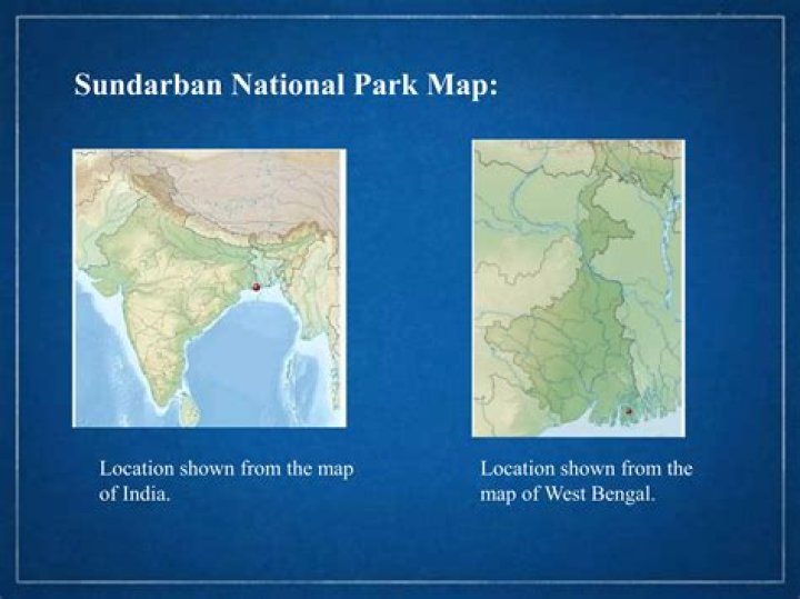 Where sundarban is situated?