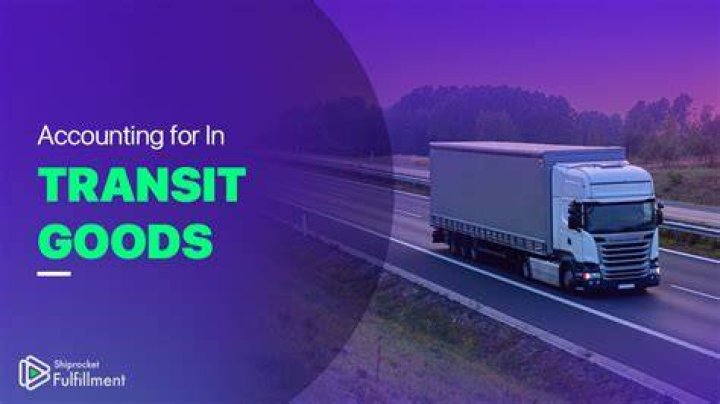 Which are goods in transit?