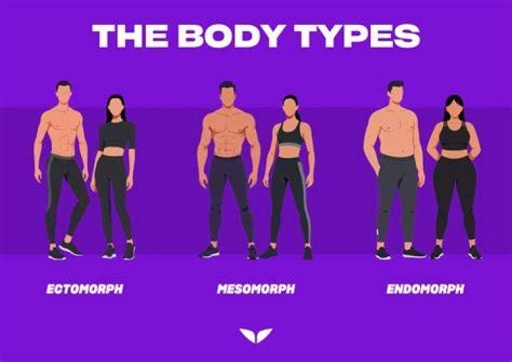 Which describes an ectomorph body type?