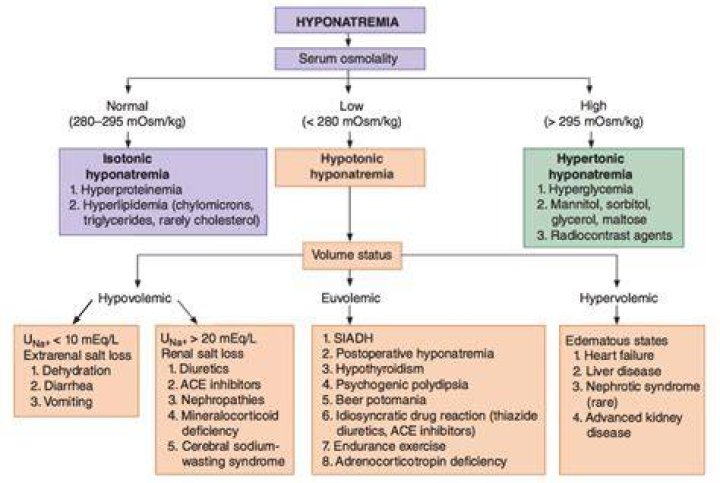 Which diuretics cause hyponatremia?