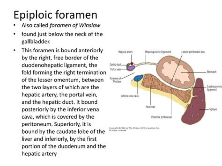 Which is the epiploic foramen?