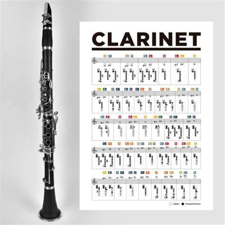 Which reed for beginner clarinet?