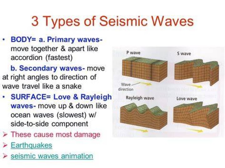 Which seismic waves travel most rapidly?