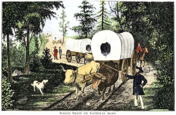 Who believed in nativism?