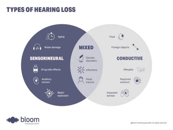 Who conductive hearing loss definition?