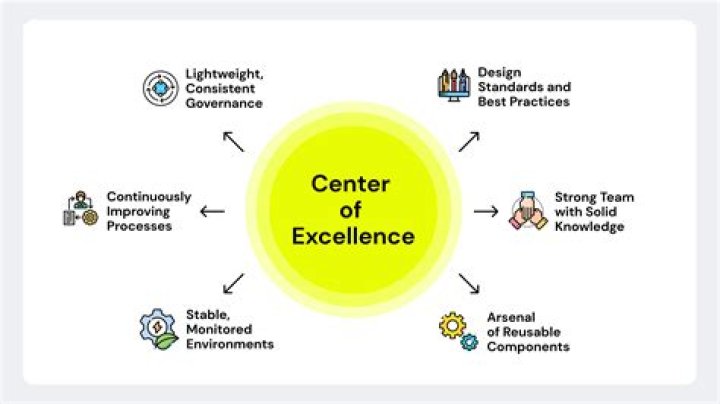 Why centre of excellence?