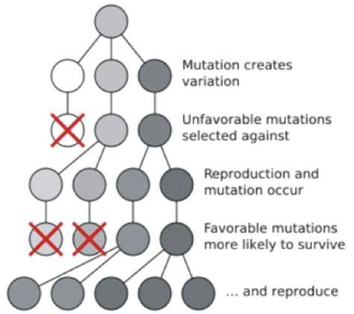 Why do organisms overproduce offspring?