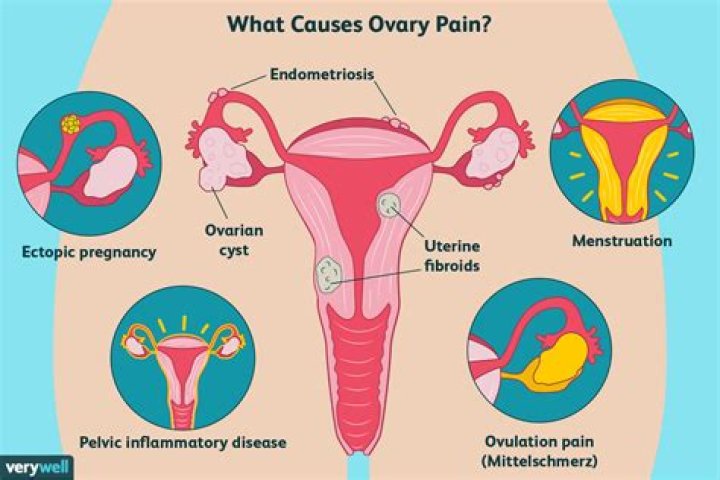 Why does my uterus hurt when i cough?
