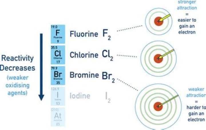 Why is fluorine more reactive than bromine?