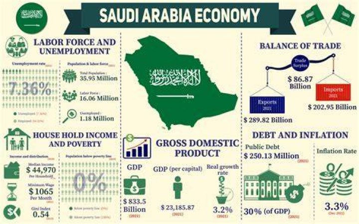 Why is saudi arabia important?