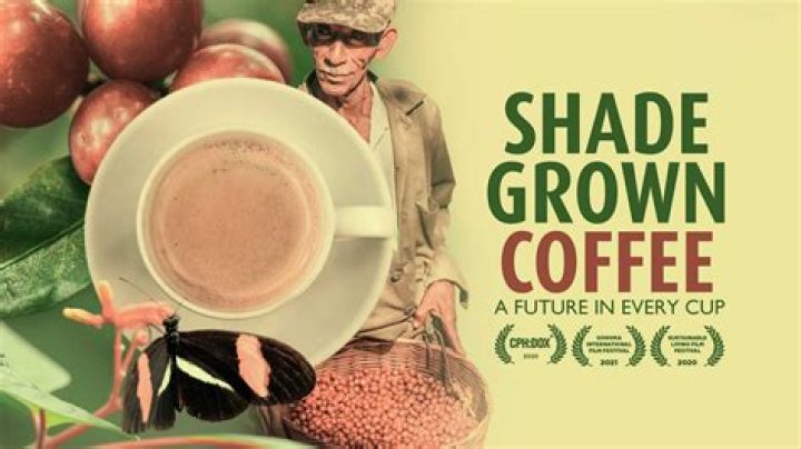 Why shade grown coffee is better?