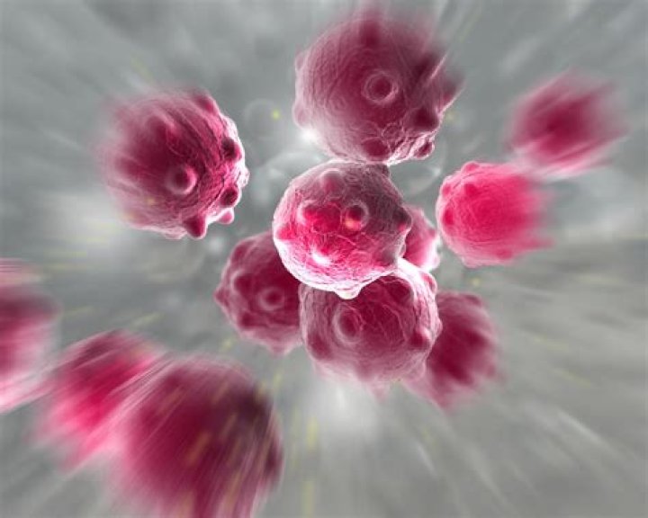 Why starve cells before treatment?