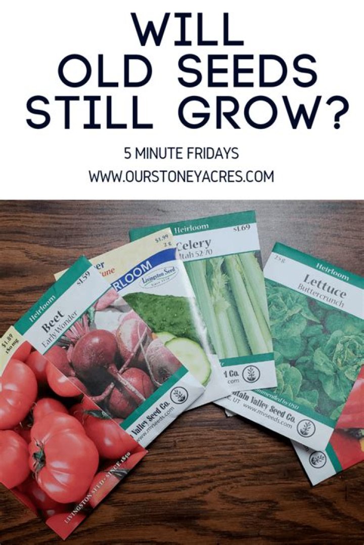 Will very old seeds grow?